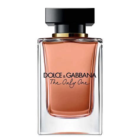 versace perfume vs dolce gabbana